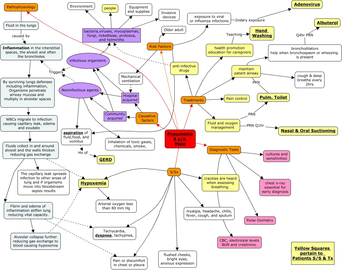 Pneumonia Concept Map